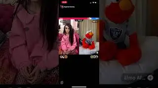 Elmo Shades Eugenia Cooney/Star Fam