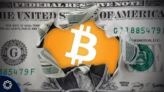 Bitcoin: The Safe Harbor Against the Falling US Dollar?