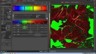 Leica Confocal Video Manual