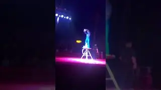 Иллюзионист в цирке