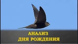 День рождения Аналитика для Пшеконуда (материал личный. у человека нет другого способа  смотреть )