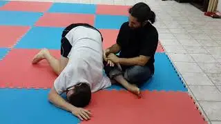 Shifu Bluestein  |  Pigua Zhang Qinna Taulu Yongfa