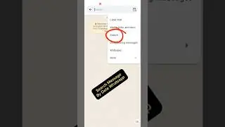 New Whatsapp Update Search message By date In chat 