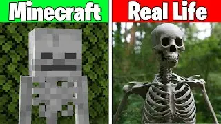 Realistic minecraft / Realistic water / lava / Slime block