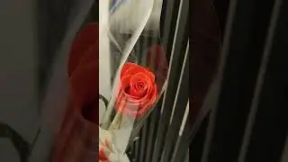 #отойтиотпропасти