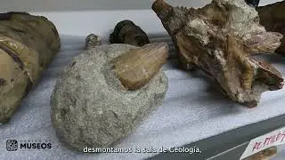 Así avanza el plan de renovación y traslado del Centro de Museos de la U. de Caldas