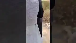 БУ иккиси кулга тушди далада запал