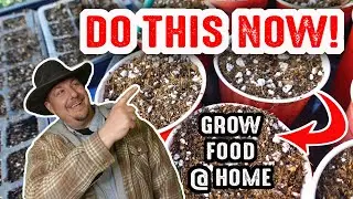 After seeing THIS you will NEVER want to START SEEDS any other way!!!