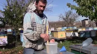 Так борюсь с варроа последние 2 года