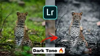Dark Tone Photo Editing 2022 | Black Effect Photo Editing Tutorial in Lightroom