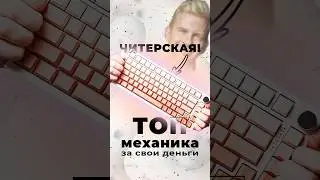 Обзор НОВИНКИ VGN a75 с МАГНИТНЫМИ СЫЧАМИ! Тайпинг оч приятный ;) #клавиатура #keyboard #pc #пк