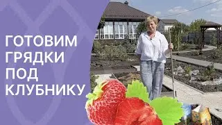 Чем заправить грядку перед посадкой клубники!