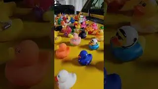 Забавный тренд в США. Duck Jeep: The Ultimate Unique Machine