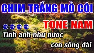Chim Trắng Mồ Côi Karaoke Tone Nam ( Am ) Karaoke Lâm Beat - Beat Mới