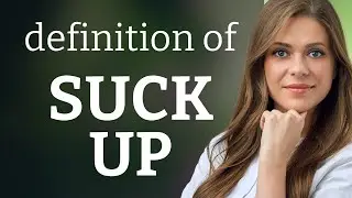 Suck up | definition of SUCK UP