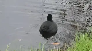 #Осень