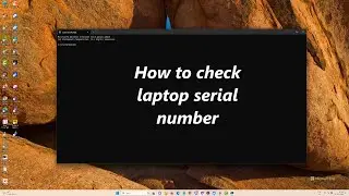 How to check laptop serial number