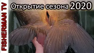 Открытие сезона 2020 (Ловля на тигровый орех)
