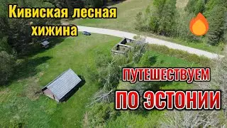Заброшенный хутор. Лесная хижина в глуши.