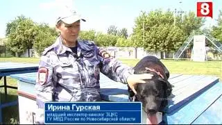 Новосибирск.ПОЛИЦИЯ.54.Четвероногие сотрудники-21.06.2016