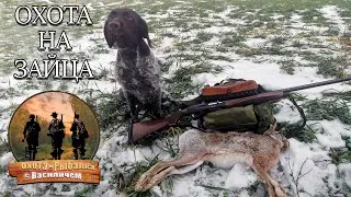 Охота на зайца. Benelli Raffaello первый трофей.