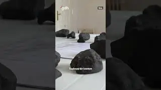 Muş’ta Mantar toplarken göktaşı buldular