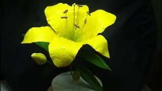 ЛИЛИЯ ИЗ ХОЛОДНОГО ФАРФОРА ( Lily of cold porcelain)