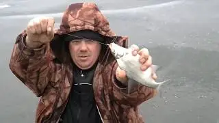 Зимняя рыбалка на Осколе .