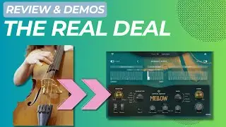 The Ultimate Upright Bass VST - Ujam Mellow Review & Demos