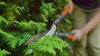 How to use hedge shears