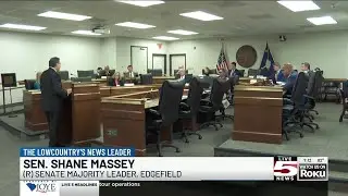 VIDEO: SC lawmakers approve changes to judge selection process; now head to governor