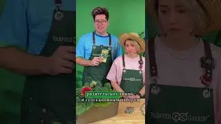 Гибридные семена