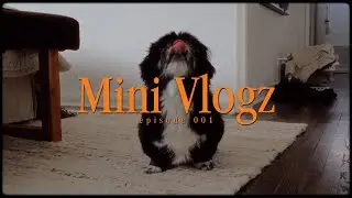 A Day At Home Film Emulation | Mini Vlogz 001