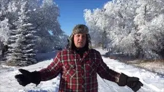 Канадский фермер - 40