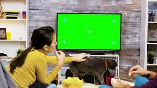 Couple playing with a cat by the TV