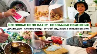 ВЛОГ🏡ВКУСНО ГОТОВИМ: МАРИНОВАННЫЕ ОГУРЧИКИ🥒ПАСТА С КУРИЦЕЙ И БЕКОНОМ🥓БЫСТРЫЙ ОБЕД🍛БУДУТ ИЗМЕНЕНИЯ