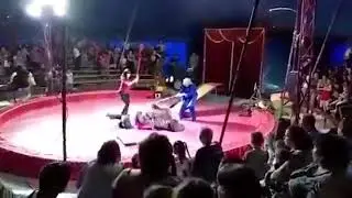The bear nearly tore the trainer! Медведь чуть не разорвал дрессировщика! Жесткое нападение медведя!