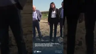 GÜLŞAH DURBAY