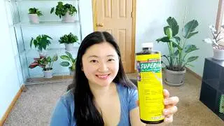 Superthrive Review | Is It Worth It? | Not Sponsored