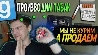 КАК ПОДНЯТЬ БАБЛА | Garry's mod [Дарк Рп] РАЗВИТИЕ С НУЛЯ #1