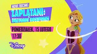 Rapunzel's Tangled Adventure - Disney Channel Polska