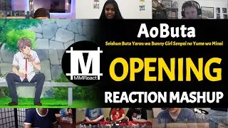 Seishun Buta Yarou wa Bunny Girl Senpai no Yume wo Minai  Opening | Reaction Mashup