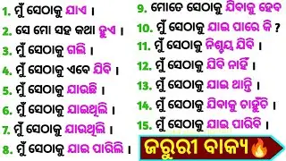 ସ୍ପୋକନ୍ ଇଂଲିଶ ପାଇଁ ସବୁଠୁ ଜରୁରୀ ଶବ୍ଦ + ବାକ୍ୟ / Spoken English Sentences + Words in Odia / MakeEnglish