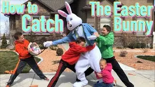 How to Catch The Easter Bunny