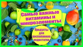 Самые важные витамины и микроэлементы. Продукты для восполнения недостатка