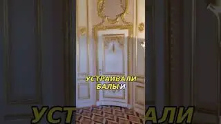 Жизнь в Великом дворце Петергофа