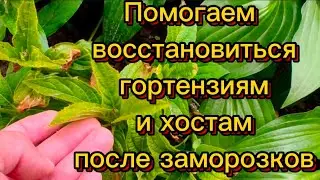 Что еще купила... 🌺🍀Красота🌺