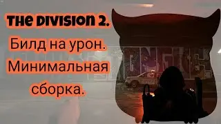 Tom Clancy's The Division 2. Билд на топовый урон.