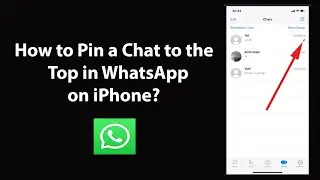 How to Pin a Chat to the Top in WhatsApp on iPhone?