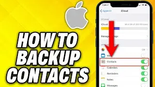 How To Backup Contacts On iPhone (2024)